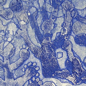 岸田真理子 「森の夢」