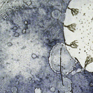 岸田真理子 「Snow Blue」