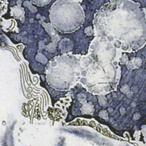 岸田真理子 「Snow Blue」